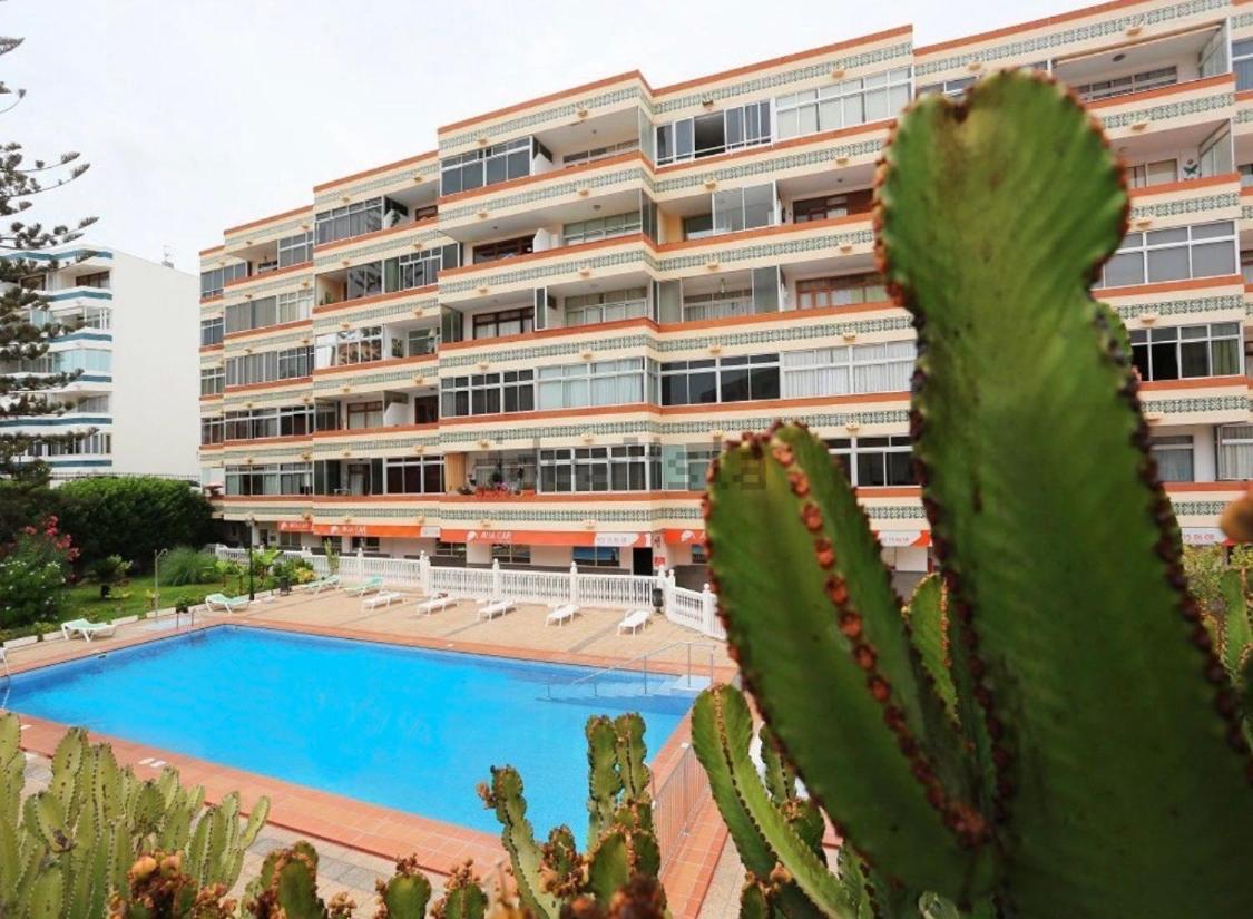 Calm, Cosy And Bright Apartment Renovated In Playa Del Ingles- Wifi Free Exteriér fotografie